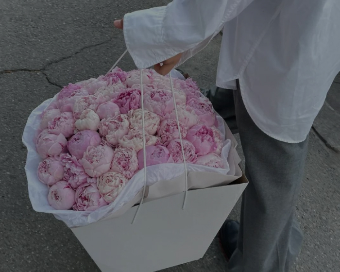 Frame 427319018